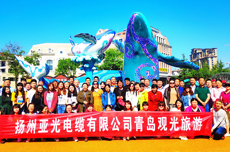 Tá Yangzhou Yaguang Cábla Co, Teo.