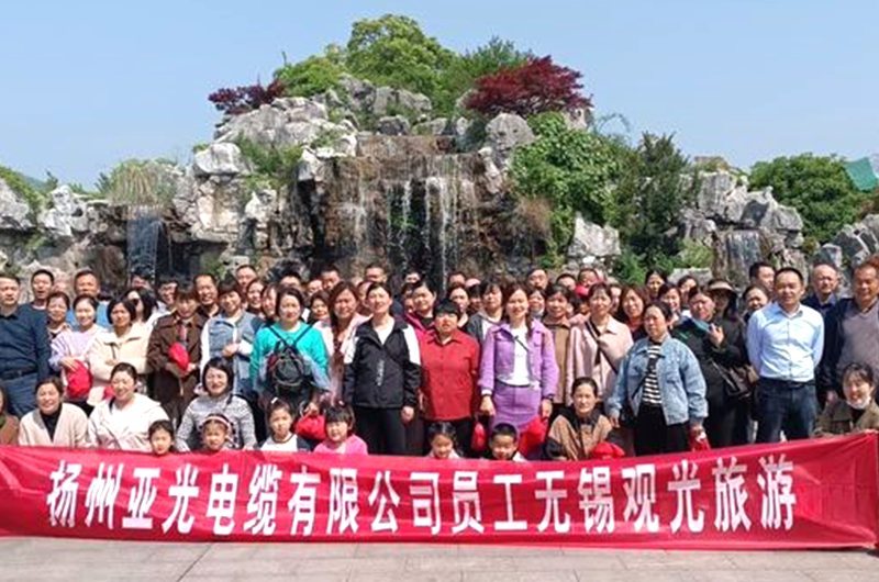 Tá Yangzhou Yaguang Cábla Co, Teo.