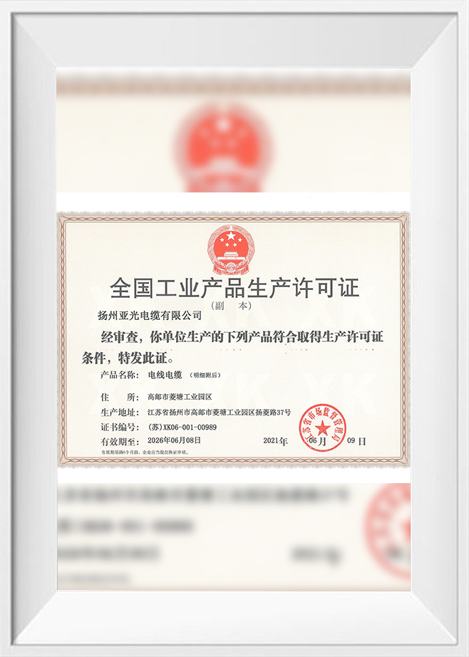 2021 Ceadúnas Léiriúcháin